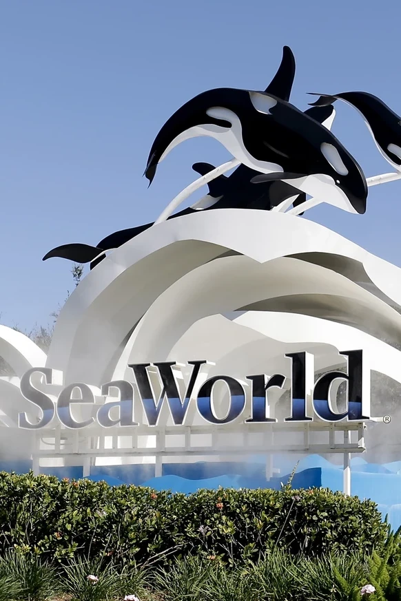 transportation from mco to seaworld