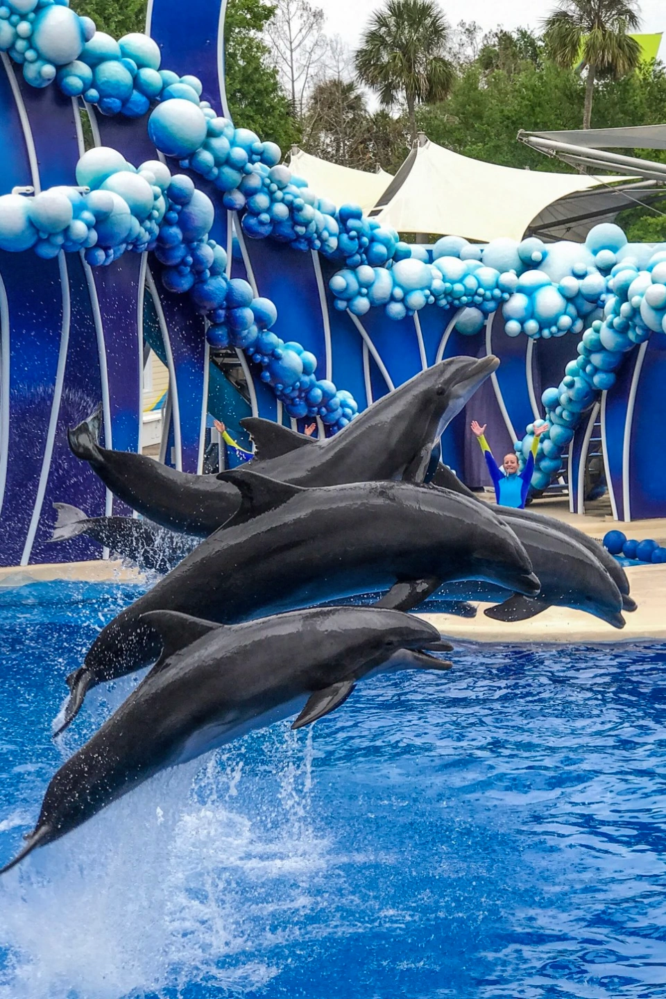 private car service orlando airport to seaworld