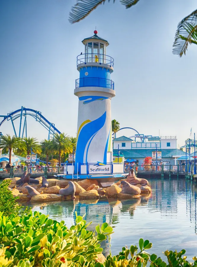 SeaWorld Orlando to MCO car service