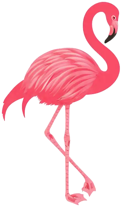 best car service orlando